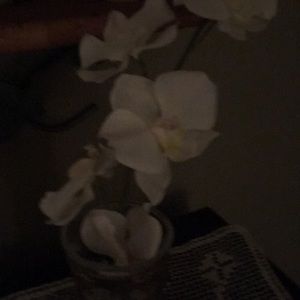 Meet your Posher, Jayne